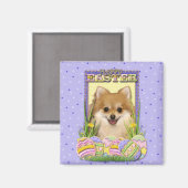 イースターエッグCookie -ポメラニア犬 マグネット (正面/裏面)