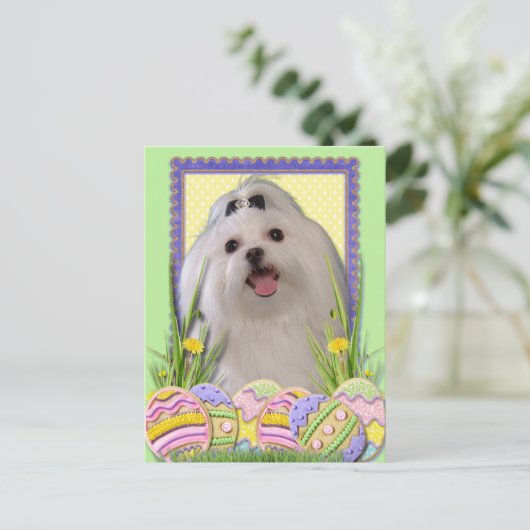 イースターエッグCookie -マルチーズ シーズンポストカード (スタンド正面)