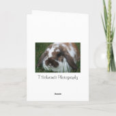 イースターオランダLOPカード シーズンカード (裏面)