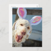 イースターオリー シーズンポストカード (正面/裏面)