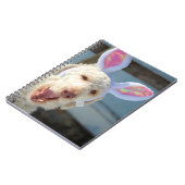 イースターオリー ノートブック (左側)