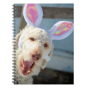 イースターオリー ノートブック