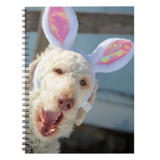 イースターオリー ノートブック (正面)