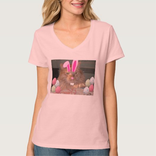 イースターオレンジタブビーキャット Tシャツ (正面)