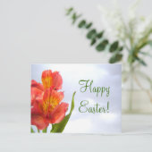 イースターオレンジリリー葉書 シーズンポストカード (スタンド正面)