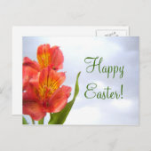 イースターオレンジリリー葉書 シーズンポストカード (正面/裏面)