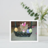 イースターオレンジ虎猫キティキャット シーズンポストカード (スタンド正面)