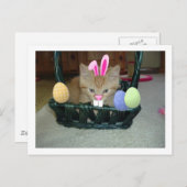 イースターオレンジ虎猫キティキャット シーズンポストカード (正面/裏面)