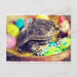 イースターカメ シーズンポストカード