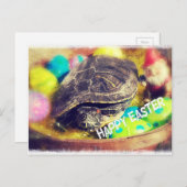 イースターカメ シーズンポストカード (正面/裏面)