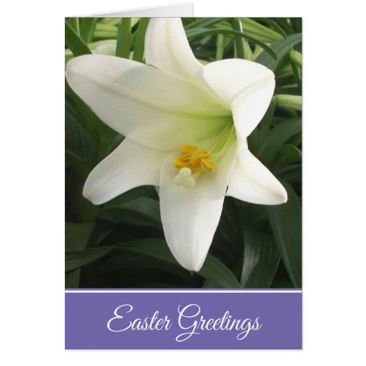 イースターカードイースターリリー (正面)
