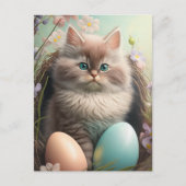 イースターキットン葉書を泡立てる ポストカード (正面)