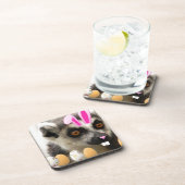 イースターキツネザル コースター (右側)