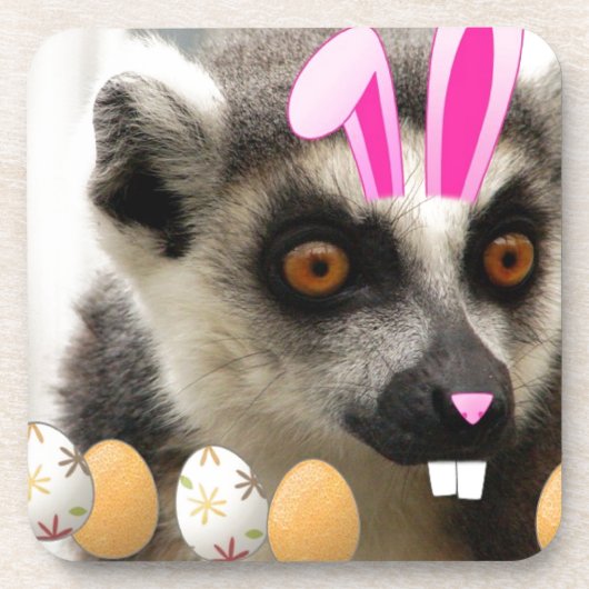 イースターキツネザル コースター (正面)
