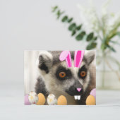 イースターキツネザル シーズンポストカード (スタンド正面)