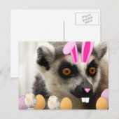 イースターキツネザル シーズンポストカード (正面/裏面)