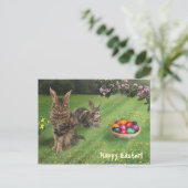 イースターキャットバンニー;-) 😽🐰 シーズンポストカード (スタンド正面)