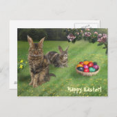 イースターキャットバンニー;-) 😽🐰 シーズンポストカード (正面/裏面)
