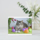 イースターキャット シーズンポストカード (スタンド正面)