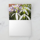 イースタークロッカスグリーティングカード シーズンカード (内部)