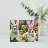 イースターコーギー シーズンポストカード (スタンド正面)