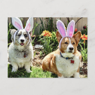 イースターコーギー シーズンポストカード