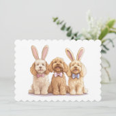 イースターゴールデンドール犬 シーズンカード (スタンド正面)