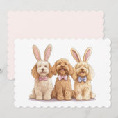 イースターゴールデンドール犬 シーズンカード (正面/裏面)