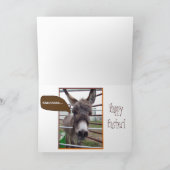 イースターサプライズ! シーズンカード (内部)