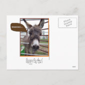 イースターサプライズ! シーズンポストカード (裏面)