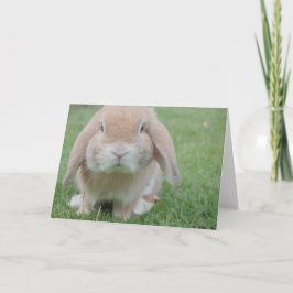 イースターサンキューカード サンキューカード