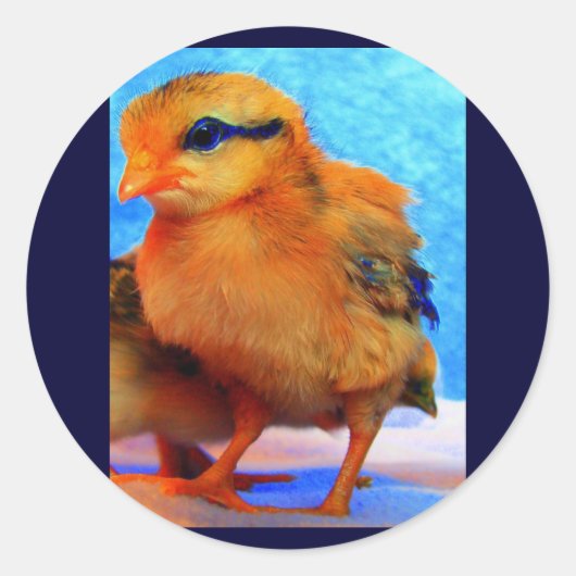 イースターシックアディーライト ラウンドシール (正面)