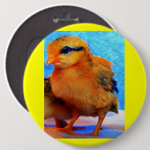 イースターシックアディーライト 缶バッジ (正面&裏面)