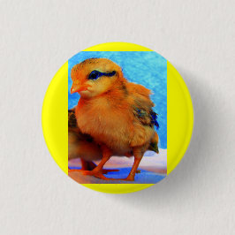 イースターシックアディーライト 缶バッジ