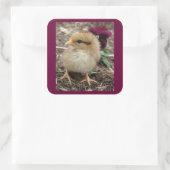 イースターシックアディーライトI スクエアシール (バッグ)