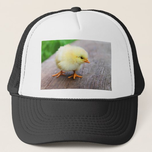 イースターシック キャップ (正面)