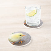 イースターシック コースター (側面)