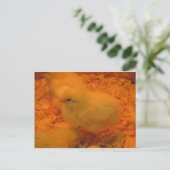 イースターシック シーズンポストカード (スタンド正面)