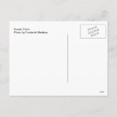 イースターシック シーズンポストカード (裏面)