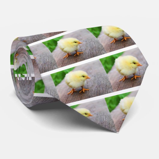 イースターシック ネクタイ (ロール)