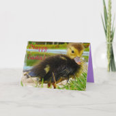 イースターシックIII シーズンカード (正面)