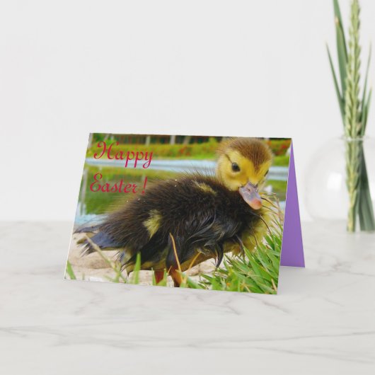 イースターシックIII シーズンカード (正面)