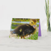 イースターシックIII シーズンカード (正面)