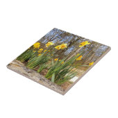 イースターセラミック写真タイルの水仙 タイル (側面)