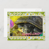 イースタータートルフラワー縁どデジタルアート シーズンポストカード (正面/裏面)