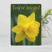 イースターダフォディル招待状イースターカーカスタマイズド 招待状 (スタンド正面)