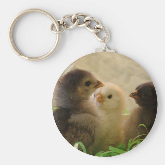 イースターチキン キーホルダー (正面)