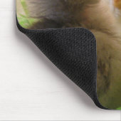 イースターチキン マウスパッド (コーナー)