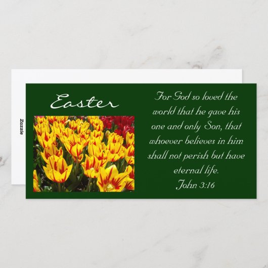 イースターチューリップフォトカードバイブル聖なる書物、 経典ジョン3:16 シーズンカード (正面/裏面)