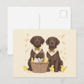 イースターチョコレートラブラドールレトリエバードッグ シーズンポストカード (正面/裏面)